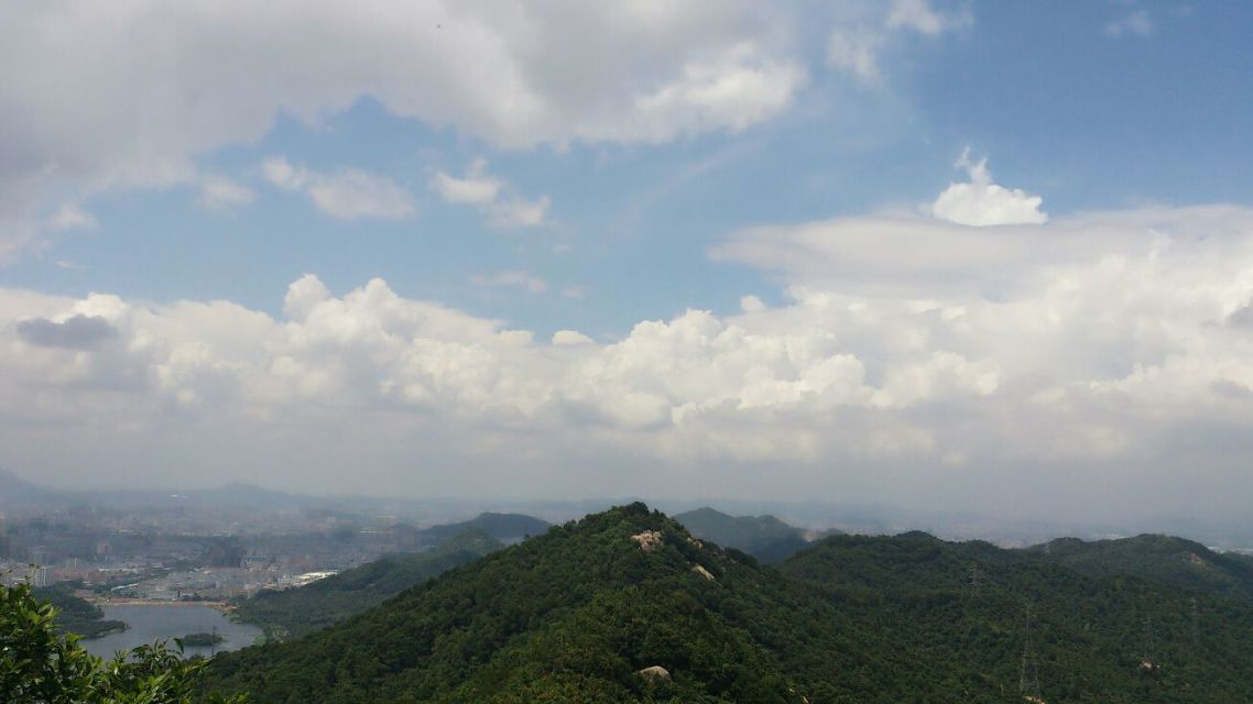 什么振蕩器更適合時(shí)鐘的使用